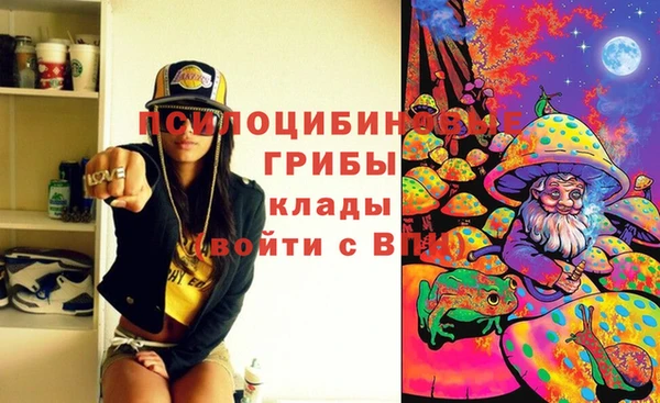 бошки Саяногорск