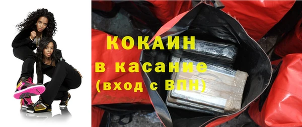 сатива Сатка