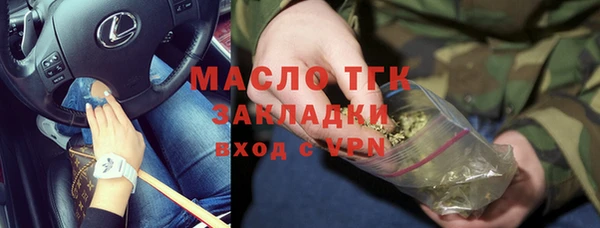 сатива Сатка