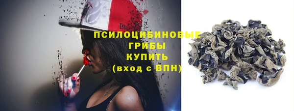 сатива Сатка
