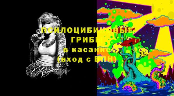 бошки Саяногорск