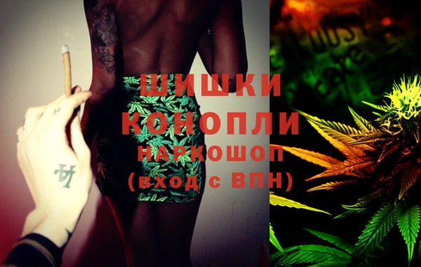 спиды Бородино