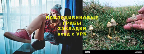 бошки Саяногорск