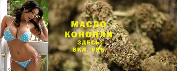 сатива Сатка