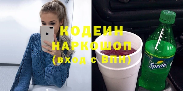 сатива Сатка