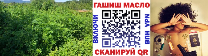 где купить наркоту  Буинск  ТГК вейп с тгк 